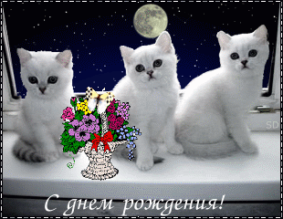 http://yoursmileys.ru/gsmile/birthday/g34032.gif