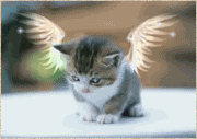 http://yoursmileys.ru/gsmile/cats/g38023.gif