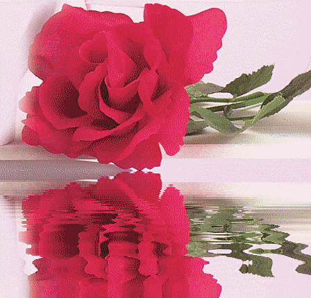 http://yoursmileys.ru/gsmile/flower1/g40195.gif