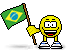 flag-of-brazil.gif