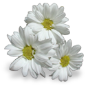 http://yoursmileys.ru/ismile/flowers/flower041.png