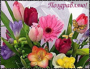 Поздравляем с Днем Рождения Екатерину (Yekaterina) T8041