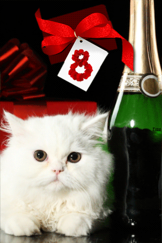 Открытка с котиком и шампанским к 8 марта
