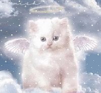 http://yoursmileys.ru/gsmile/cats/g38039.gif