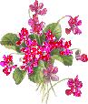 http://yoursmileys.ru/gsmile/flower/g10023.gif