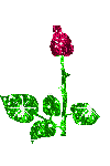 http://yoursmileys.ru/gsmile/flower/g10033.gif